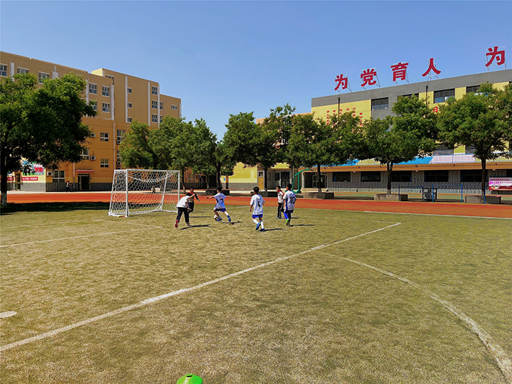 05.jpg