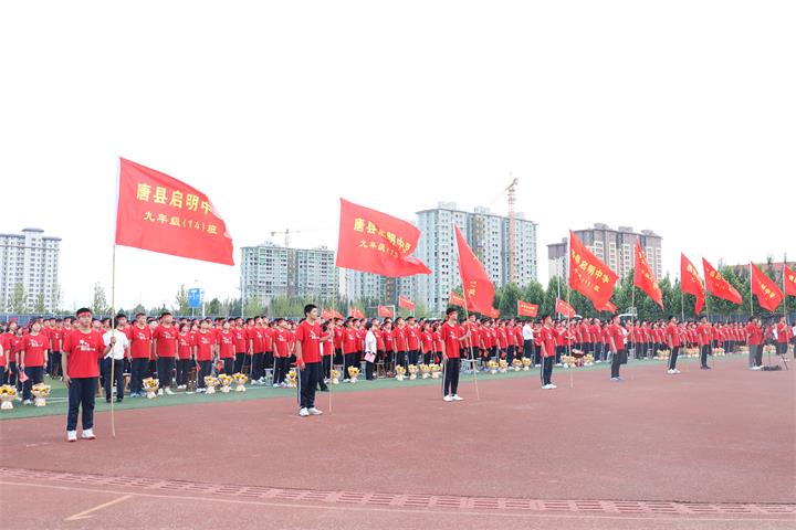 48.jpg