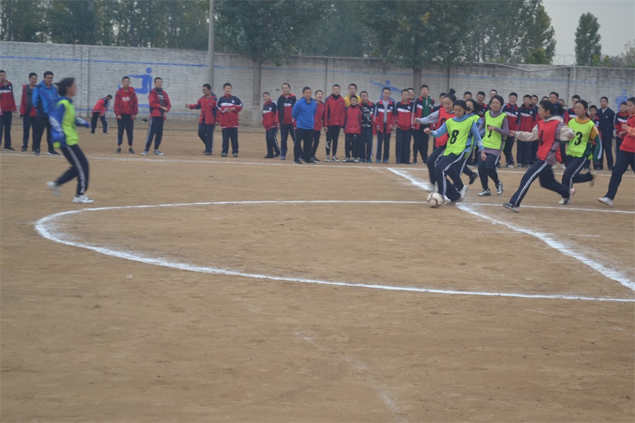 DSC_3946.JPG