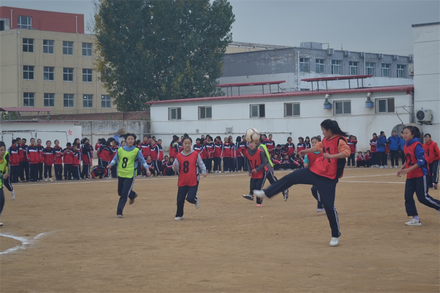 DSC_3948.JPG