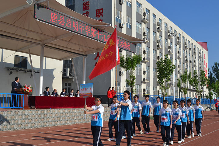 3.运动员代表队.jpg
